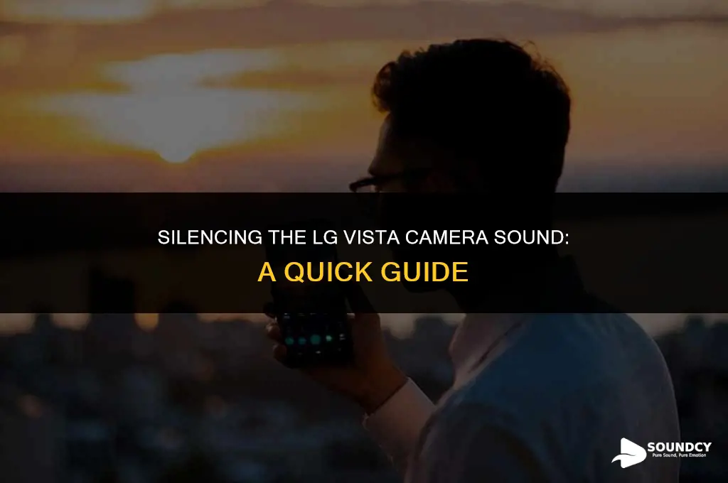 how to mute the camera sound on lg vista