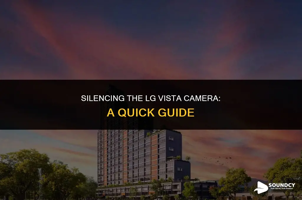 how to mute the camera sound on lg vizta