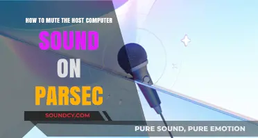 Silencing the Host: A Guide to Muting Sound on Parsec