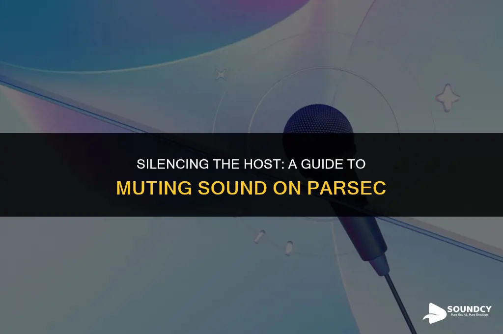 how to mute the host computer sound on parsec