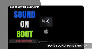 Silencing the Startup: A Guide to Muting Your Mac's Boot Sound