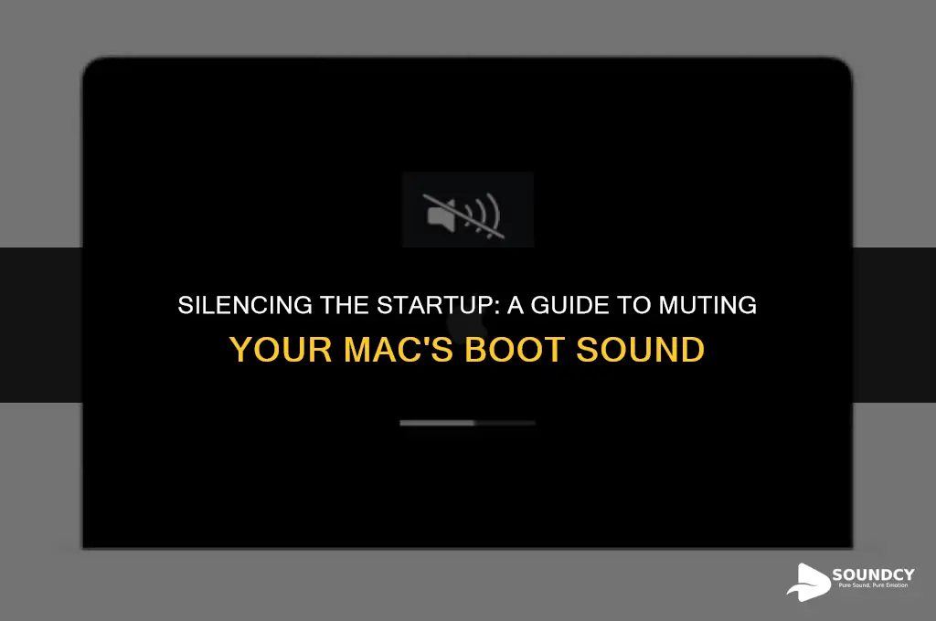 how to mute the mac startup sound on boot