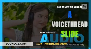 Silencing Slides: A Quick Guide to Muting VoiceThread Audio