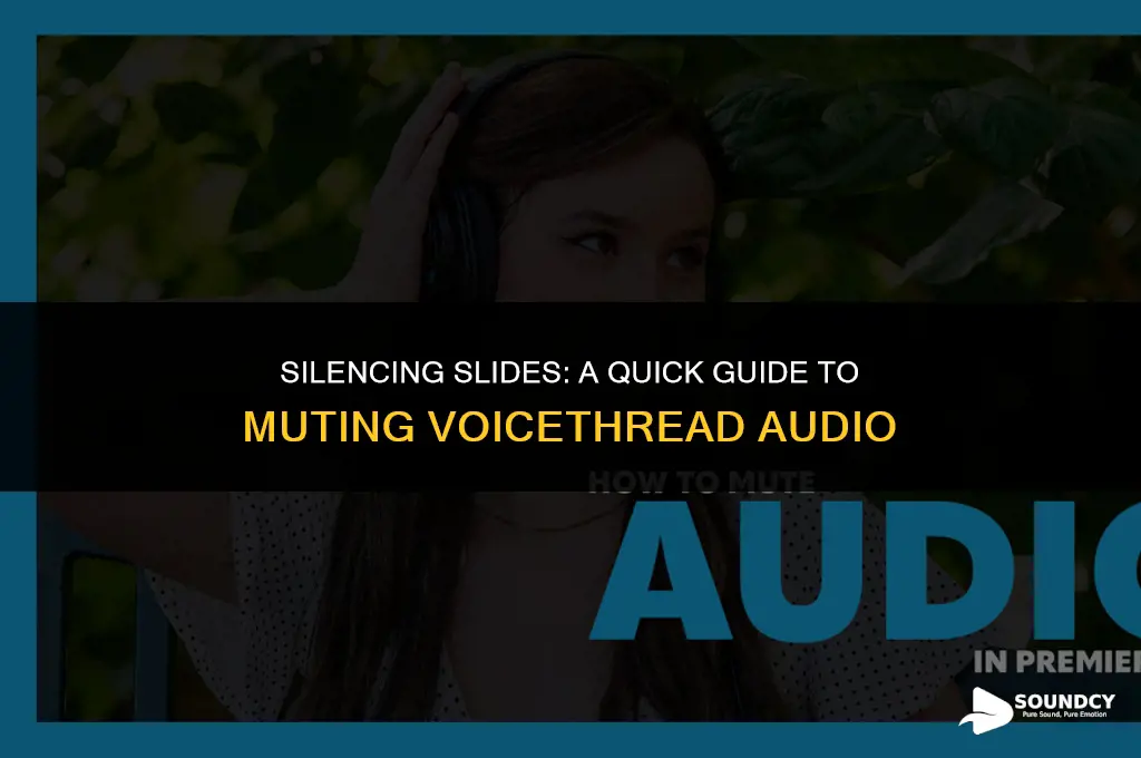 how to mute the sound on a voicethread slide