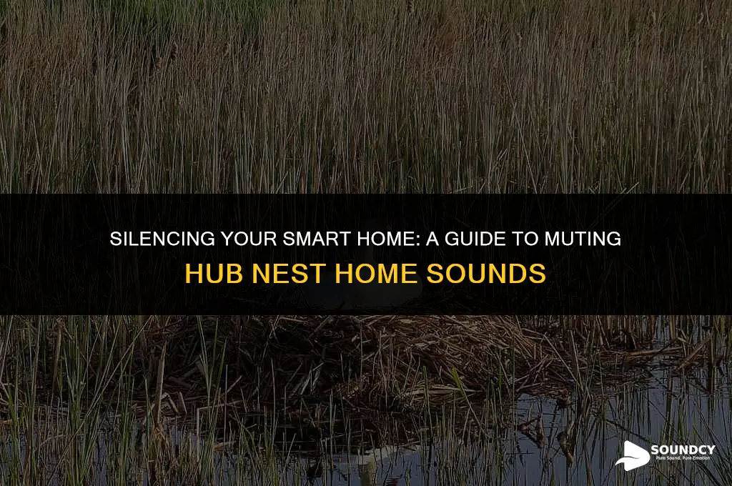 how to mute the sound on hub nest home