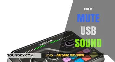 Quick Guide: Muting USB Audio Devices for Silent Operation
