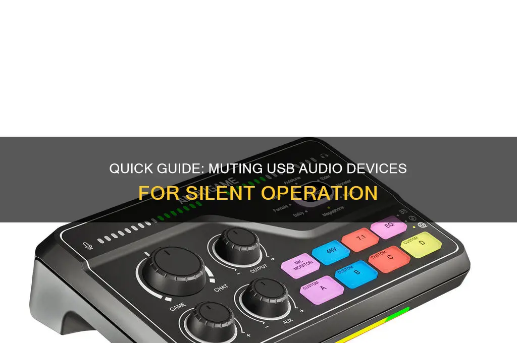 how to mute usb sound