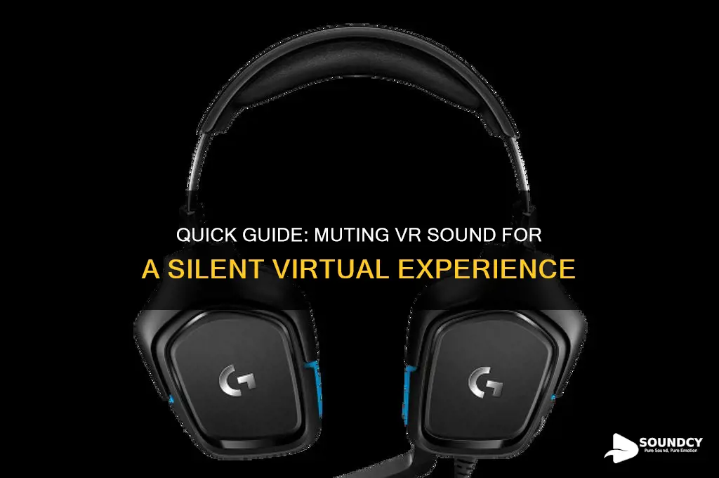 how to mute vr sound