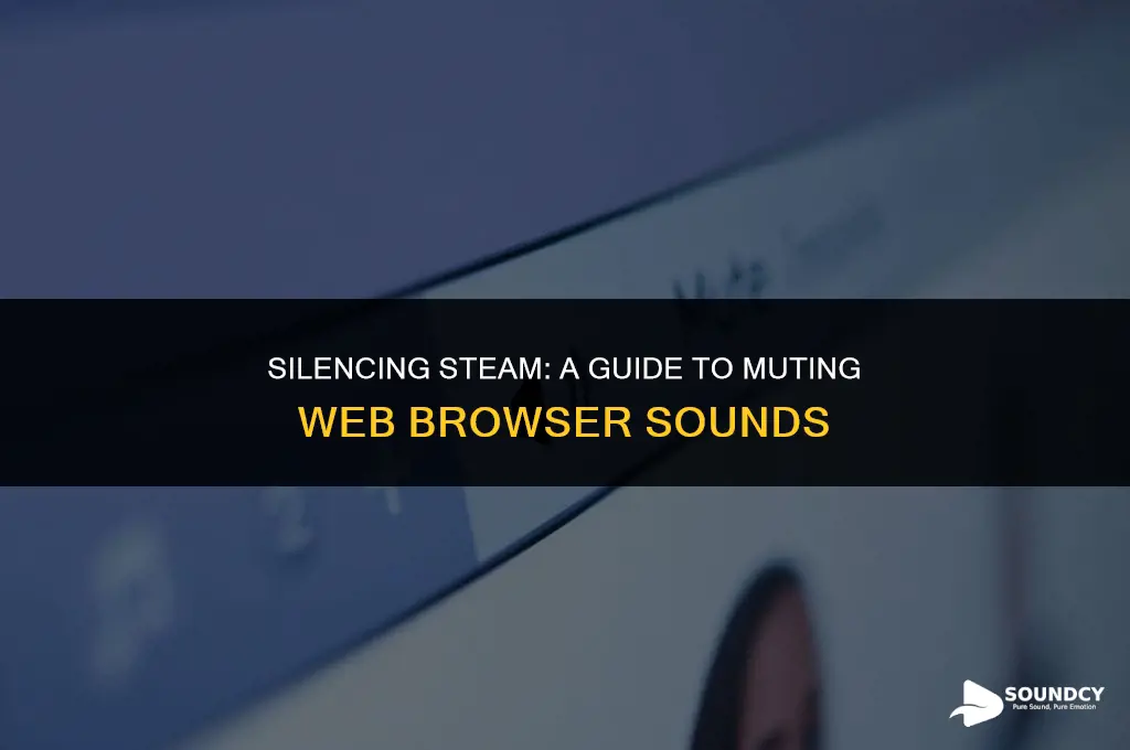 how to mute web browser sound from my steam