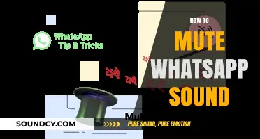 Quick Guide: Mute WhatsApp Sounds for Peaceful Notifications