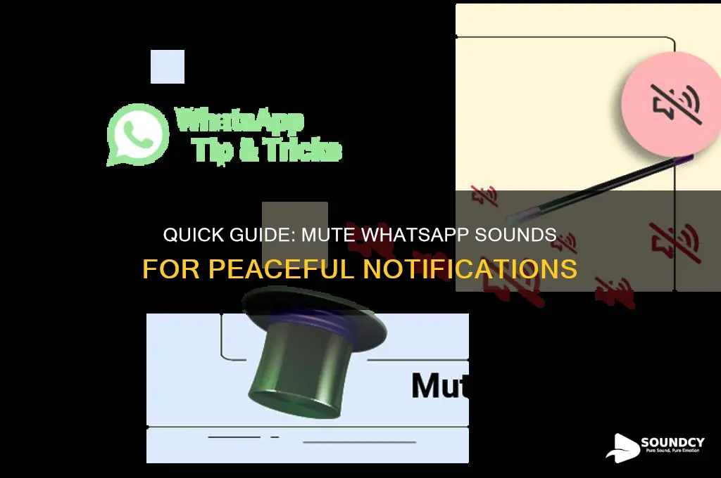 how to mute whatsapp sound