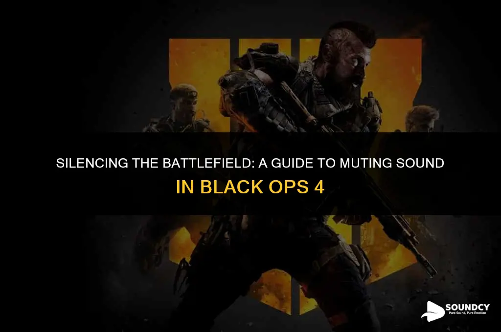 how to mute your sound in black ops 4