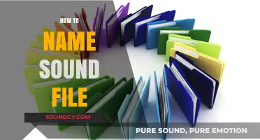 Effective Sound File Naming: Tips for Organization and Easy Access