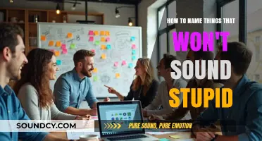 Naming Conventions: Crafting Titles That Resonate and Engage