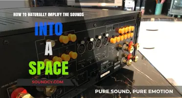 Harmonizing Spaces: A Guide to Natural Sound Integration