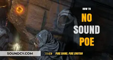 Mastering Silent Gameplay: How to Mute Sound in Path of Exile