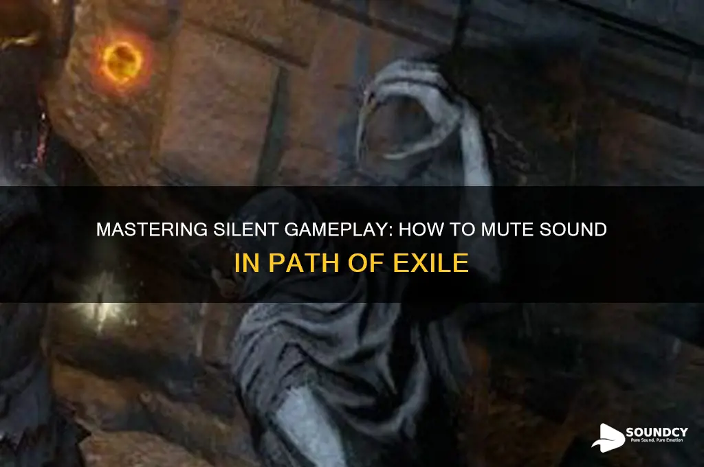 how to no sound poe