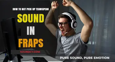 Effective Ways to Exclude TeamSpeak Audio from FRAPS Recordings