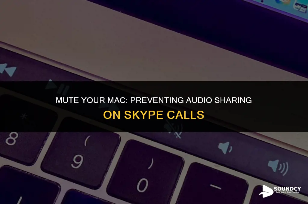 how to not share computer sound on skype mac