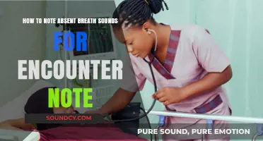 Documenting Absent Breath Sounds: A Guide for Accurate Encounter Notes