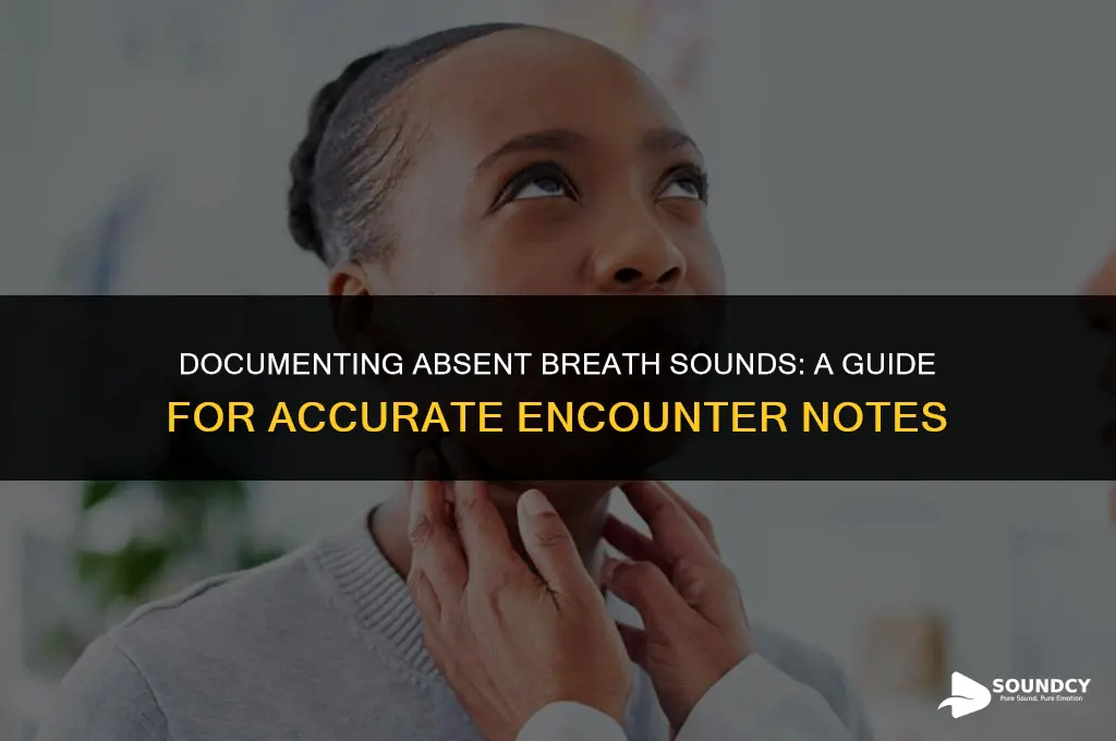 how to note absent breath sounds for encounter note