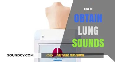 Mastering Auscultation: A Step-by-Step Guide to Obtaining Lung Sounds