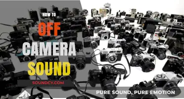 Mastering Off-Camera Sound: Essential Techniques for Clear Audio Recording