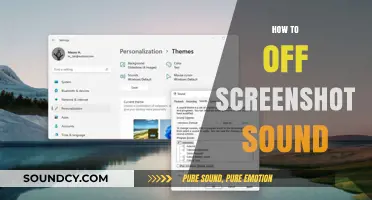 Silencing Screenshots: A Guide to Disabling the Capture Sound