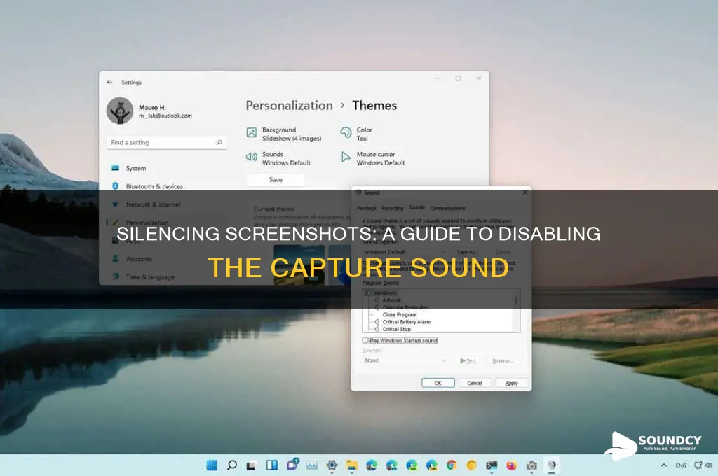 how to off screenshot sound
