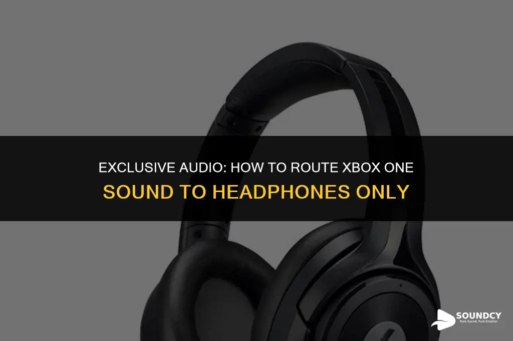 how to only have xbox one sound in hearphones