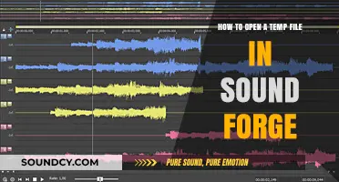 Unlocking Sound Forge: A Beginner's Guide to Opening Temp Files