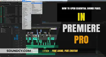 Unlocking Audio Excellence: Accessing Premiere Pro's Essential Sound Panel