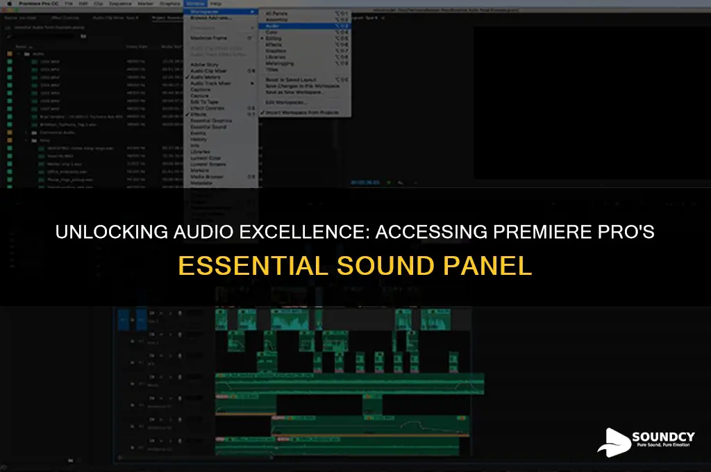 how to open essential sound panel in premiere pro