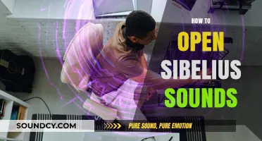 Unlock Sibelius Sounds: A Step-by-Step Guide to Accessing Audio
