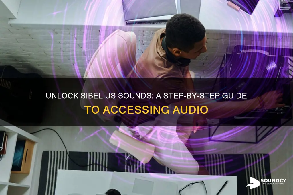 how to open sibelius sounds