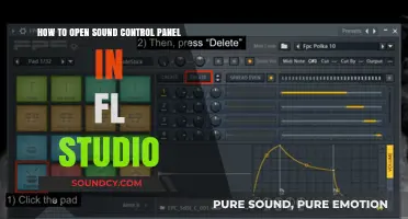 Unlocking Audio Mastery: Accessing FL Studio's Sound Control Panel