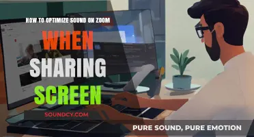 Mastering Audio Quality: Screen Sharing on Zoom