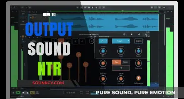 Mastering Sound Output: A Comprehensive Guide to NTR Techniques