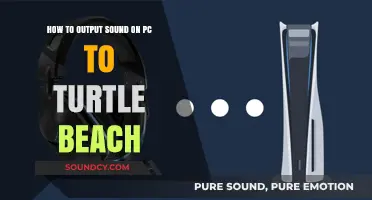 PC Audio Output Guide: Connect to Turtle Beach Headsets