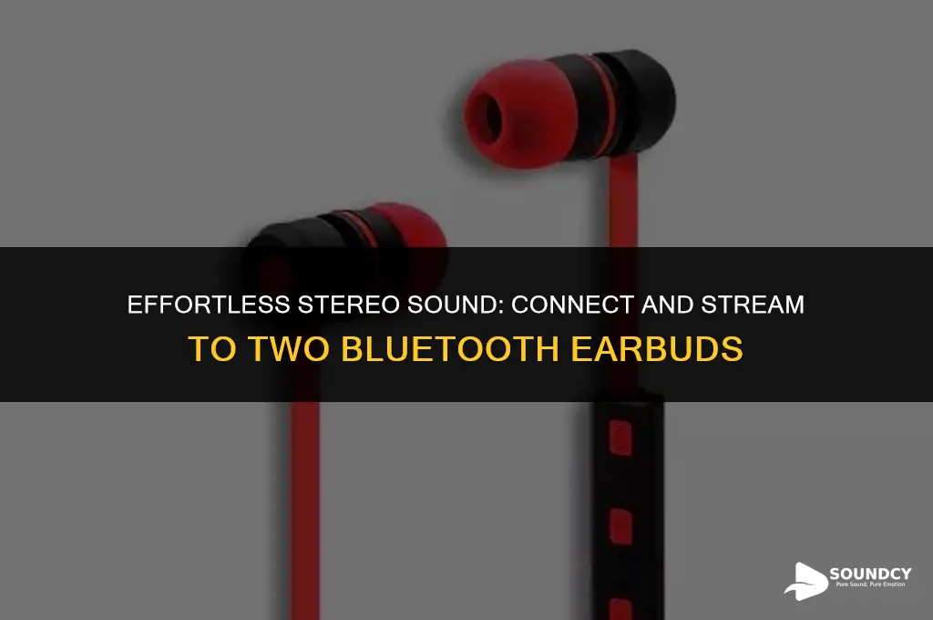 how to output sound to 2 stereo bluetooth earbuds