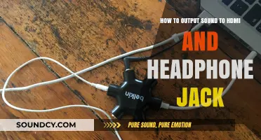 Dual Audio Output: HDMI and Headphone Jack Guide