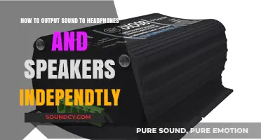 Independent Audio Output: Headphones and Speakers Guide