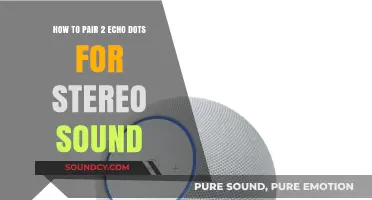 Effortless Stereo: Pairing Two Echo Dots for Immersive Sound