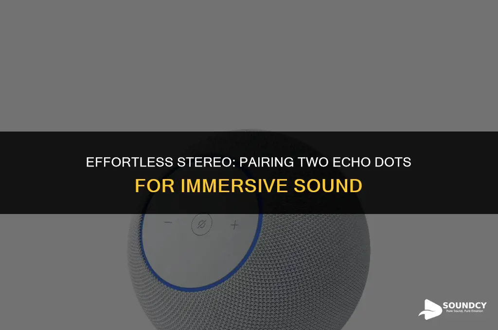 how to pair 2 echo dots for stereo sound