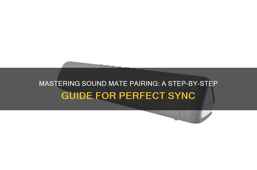 how to pair sound mates