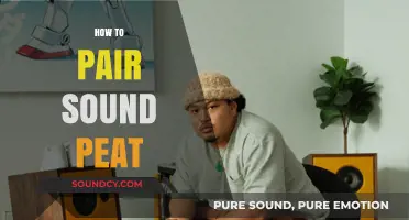 Mastering the Art of Pairing Peat: Tips for Perfect Sound Matches