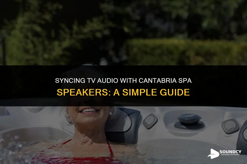 how to pair tv sound to cantabria spa speakers