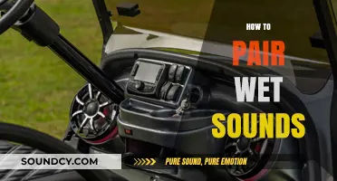 Mastering Wet Sound Pairing: Tips for Perfect Audio Balance and Clarity