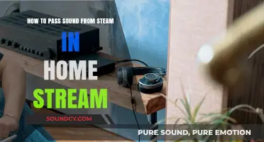 Streaming Sound Success: How to Pass Audio from Steam to Home Stream
