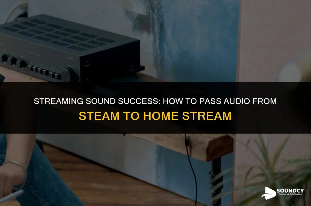how to pass sound from steam in home stream